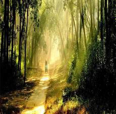 corbett Tour  