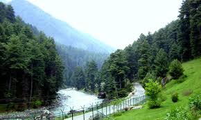 Shimla Tour Packages 