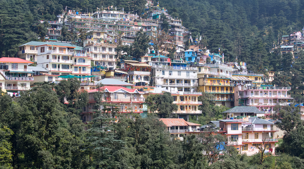Dharamshala Tour from Aurangabad