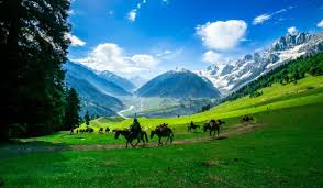 Sonmarg