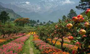 Magical Uttarakhand Tour Package
