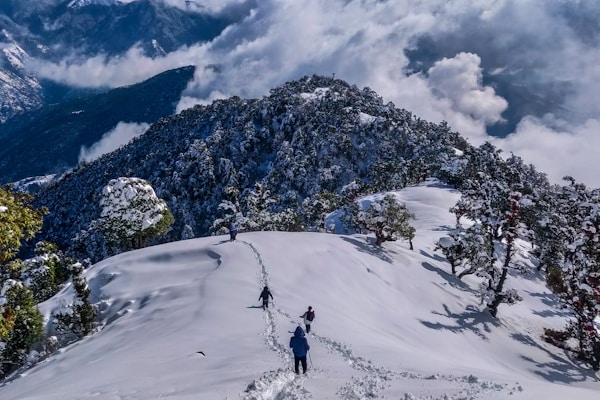Manali Tour Packages