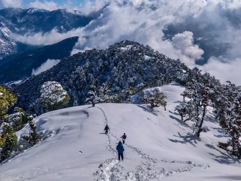 Manali Tour Hot Deal 