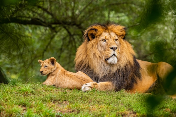 Nainital & Jim Corbett Tour Package